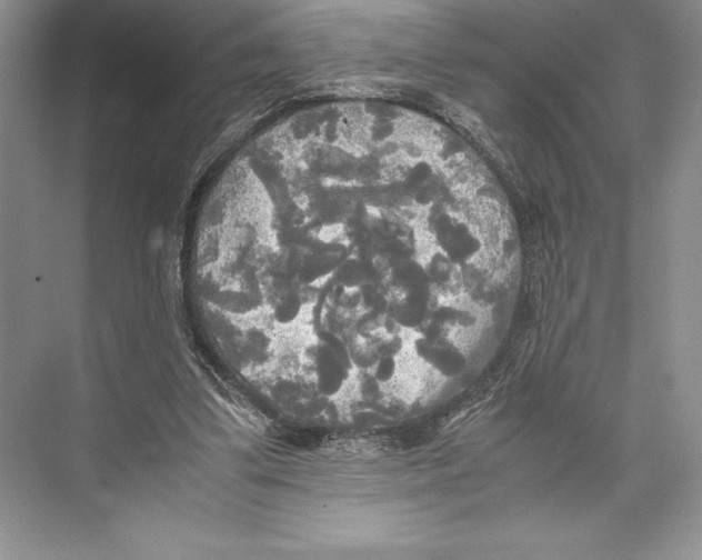 X0000072520299200608111727