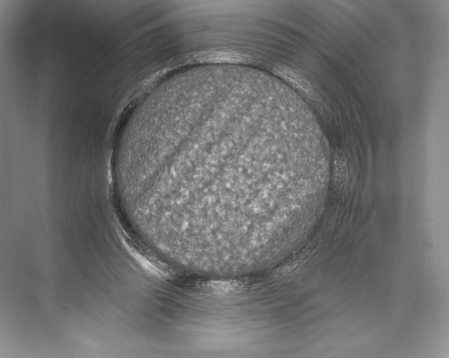 X0000072520302200608111727