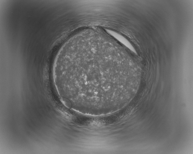 X0000072520303200608111727