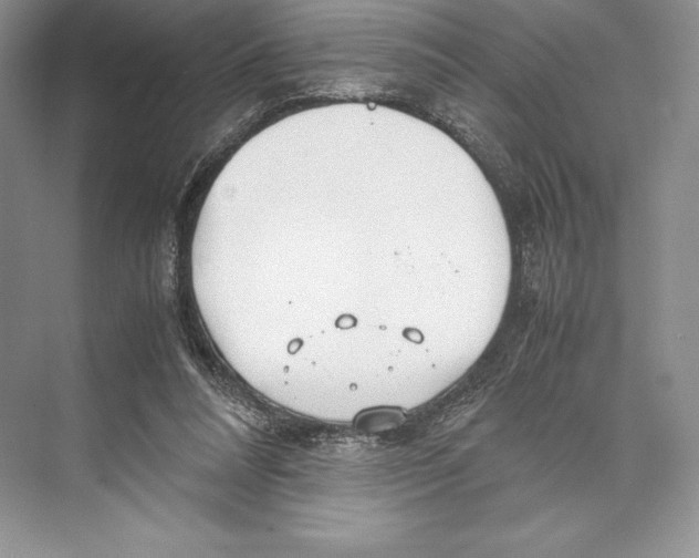 X0000072520304200608111727