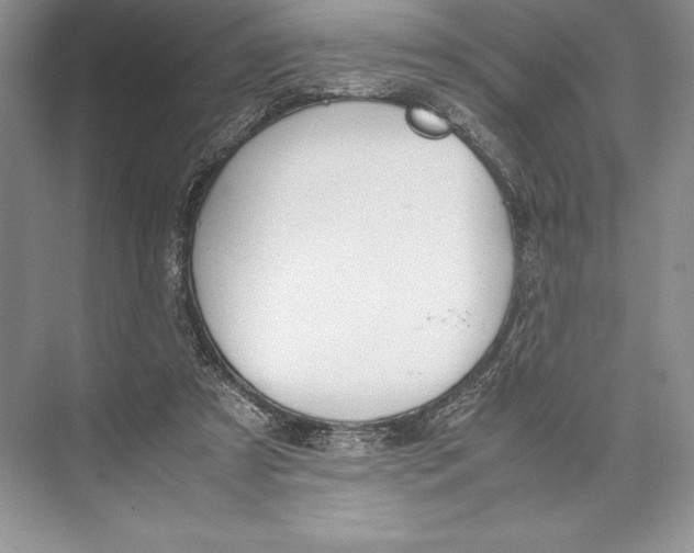 X0000072520305200608111727