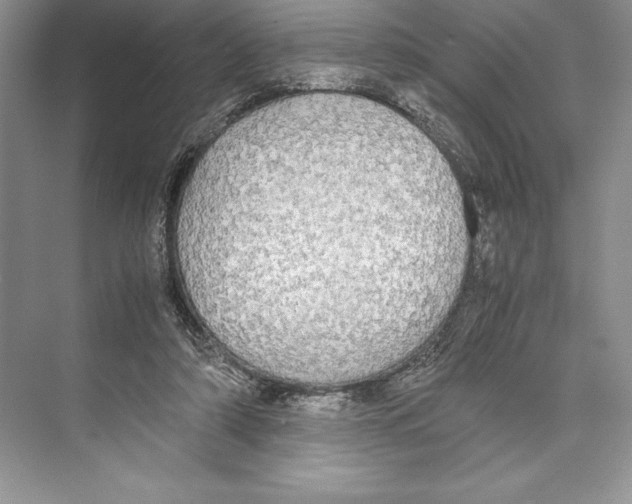 X0000072520306200608111727