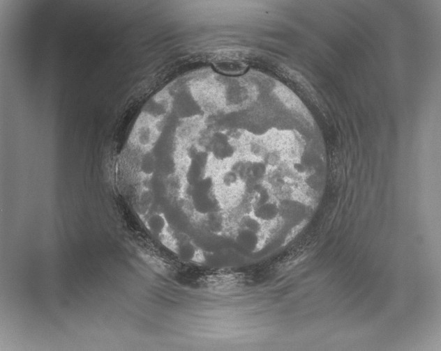 X0000072520307200608111727