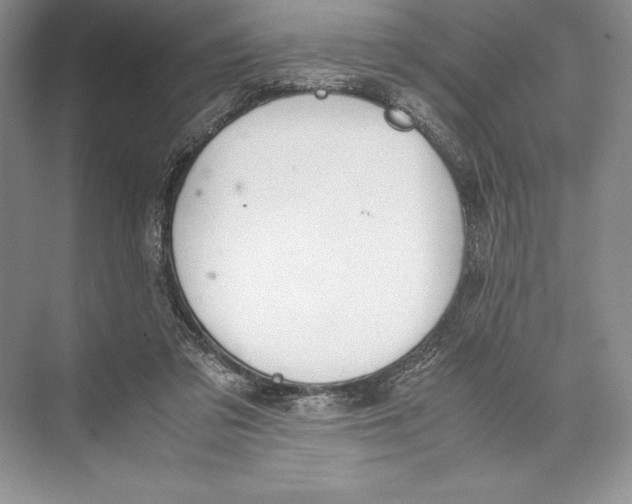 X0000072520309200608111727