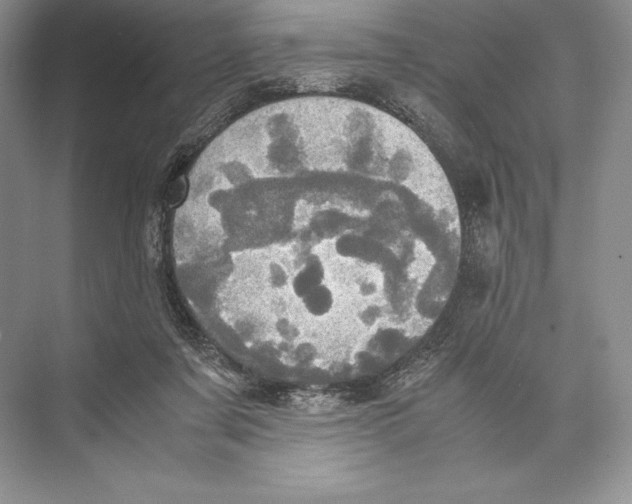 X0000072520311200608111727