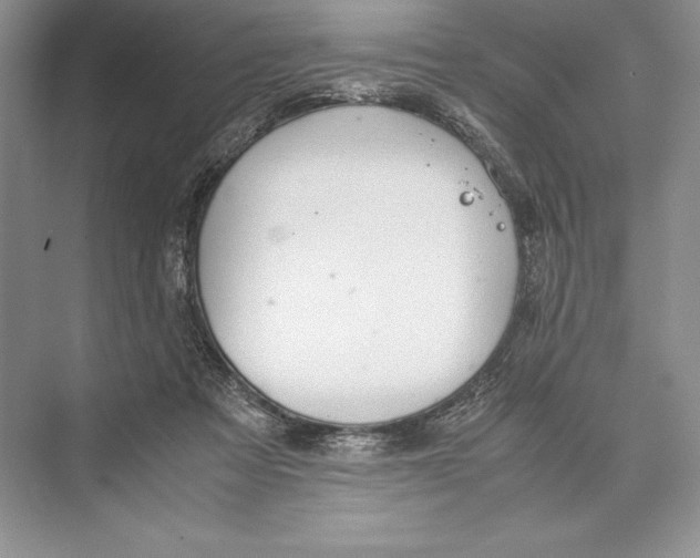 X0000072520313200608111727