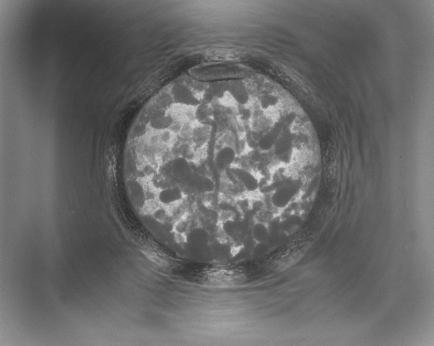 X0000072520315200608111727