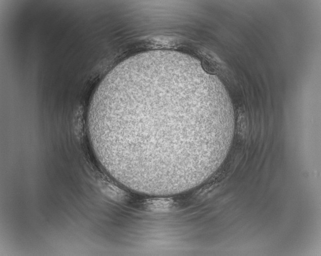 X0000072520318200608111727