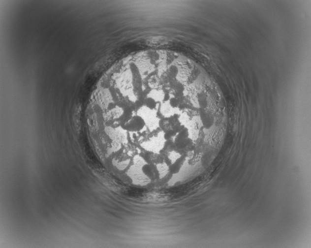 X0000072520319200608111727