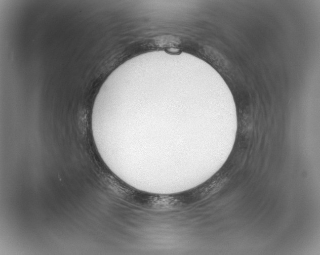 X0000072520321200608111727