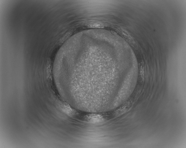 X0000072520322200608111727