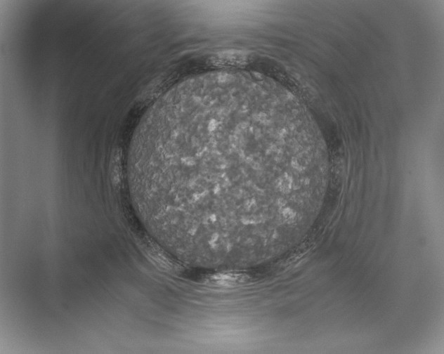 X0000072520323200608111727