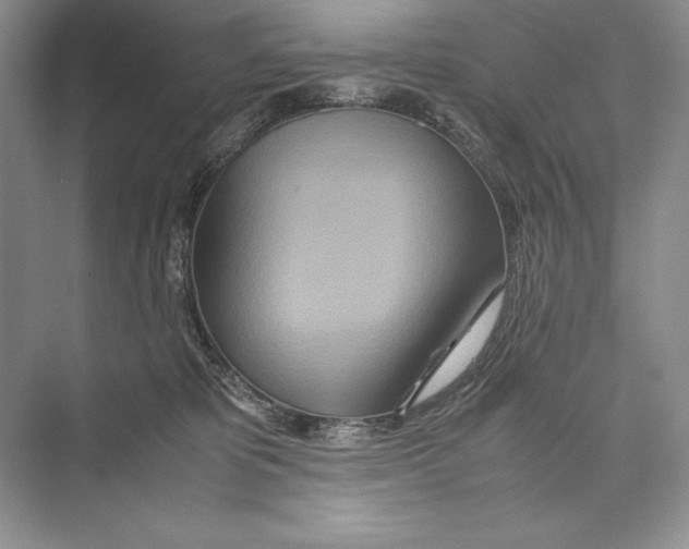 X0000072520325200608111727