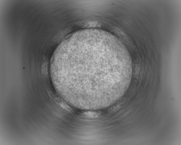 X0000072520326200608111727