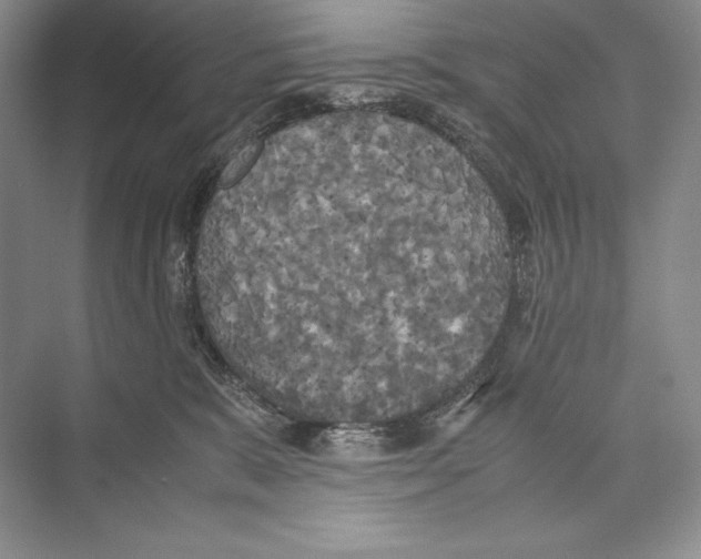 X0000072520327200608111727