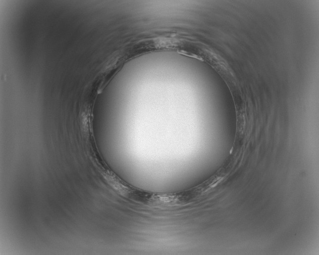 X0000072520329200608111727