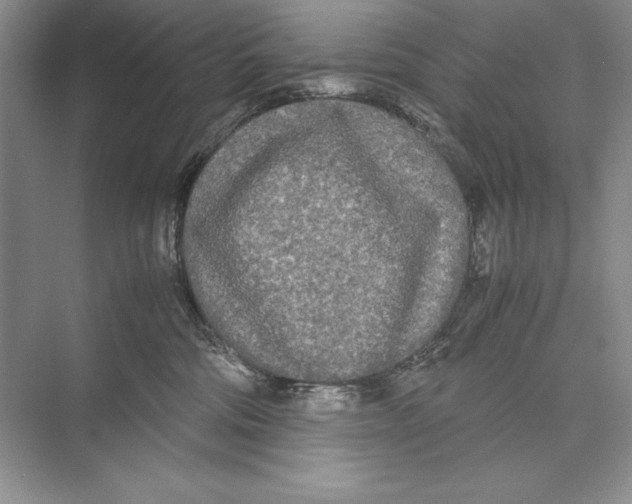 X0000072520330200608111727