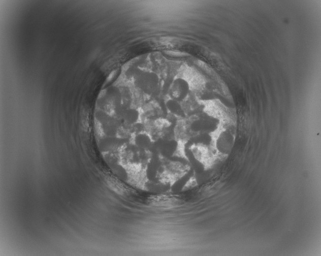 X0000072520331200608111727