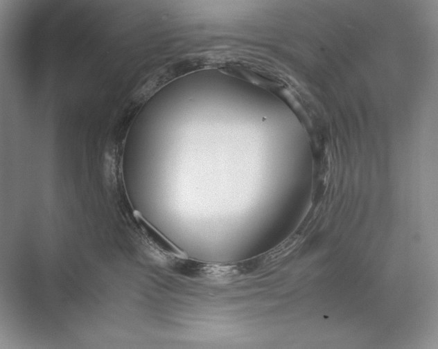 X0000072520333200608111727