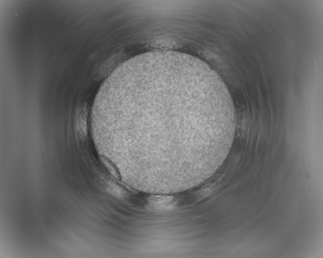 X0000072520334200608111727