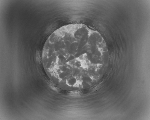 X0000072520335200608111727