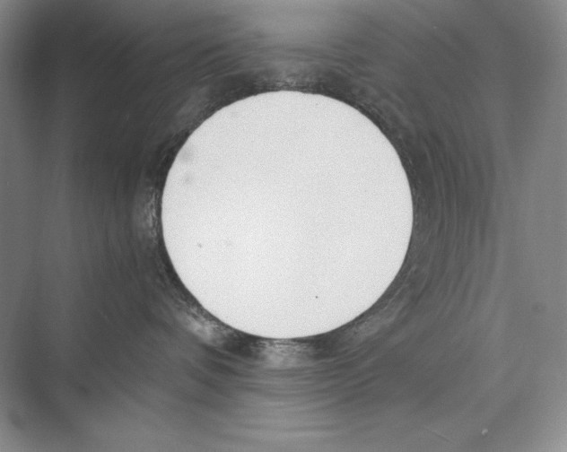 X0000072520336200608111727