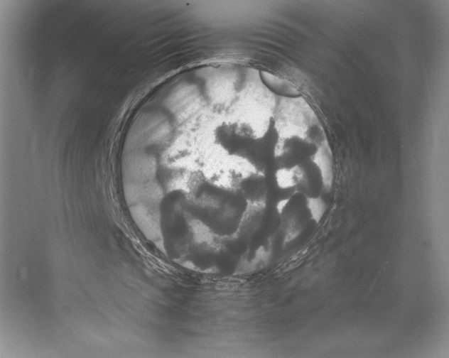 X0000072520337200608111726