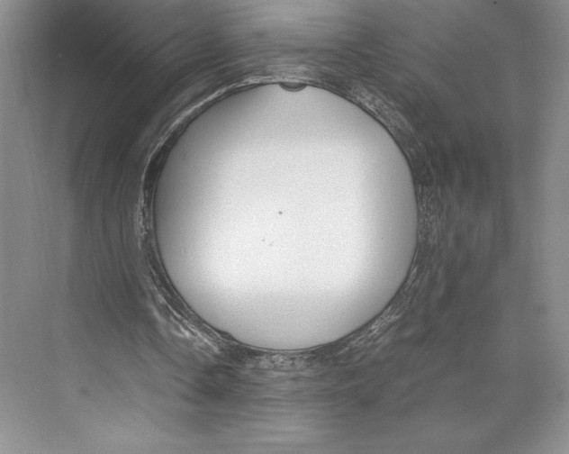 X0000072520338200608111726