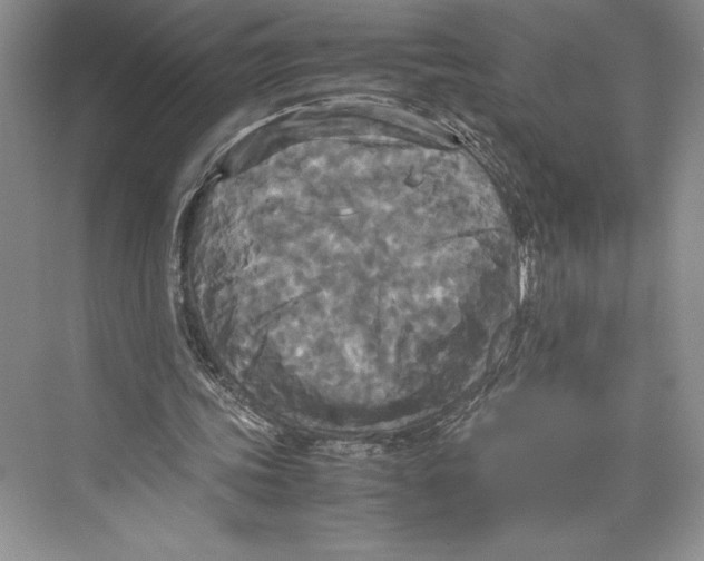 X0000072520339200608111726