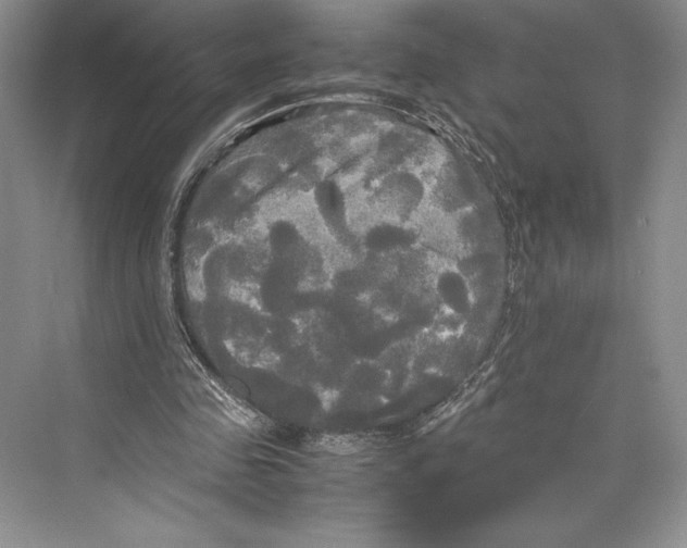 X0000072520341200608111726