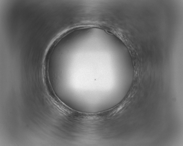 X0000072520342200608111726