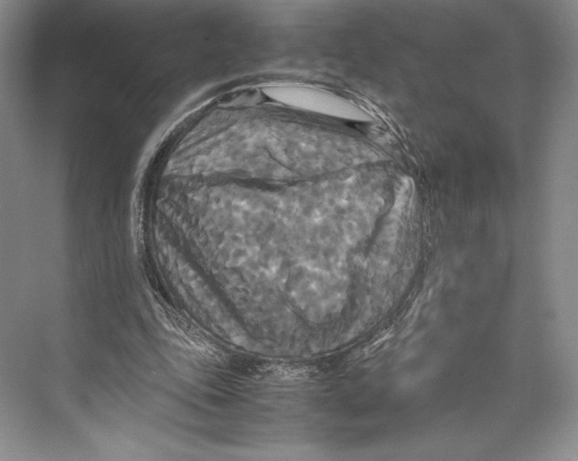 X0000072520343200608111726