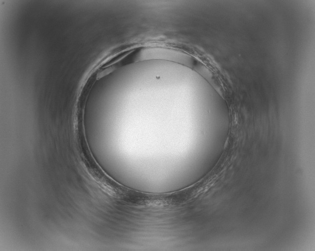 X0000072520344200608111726