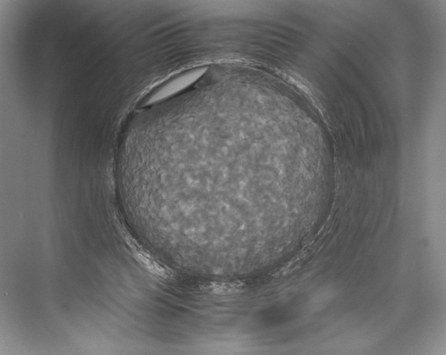 X0000072520345200608111726