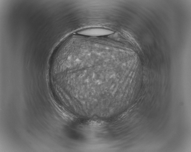 X0000072520346200608111726