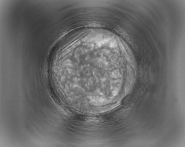 X0000072520347200608111726