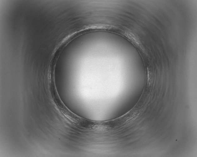 X0000072520348200608111726