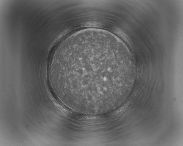 X0000072520349200608111726