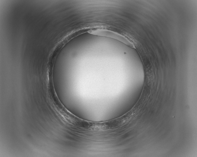 X0000072520350200608111726