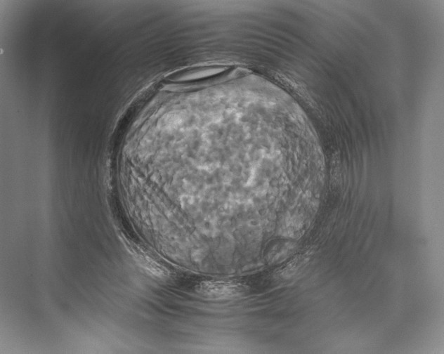 X0000072520351200608111726