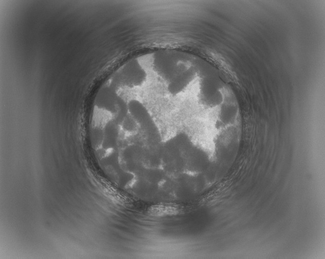 X0000072520354200608111726