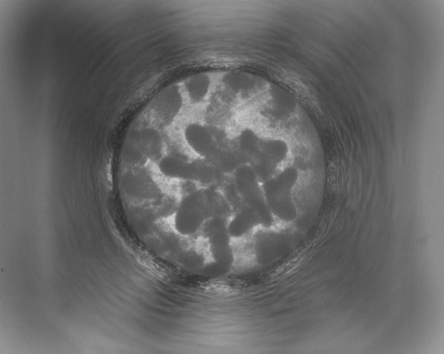 X0000072520358200608111726