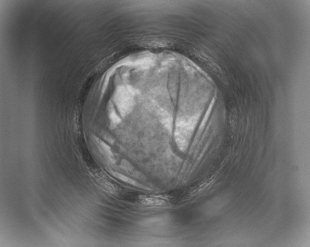 X0000072520359200608111726