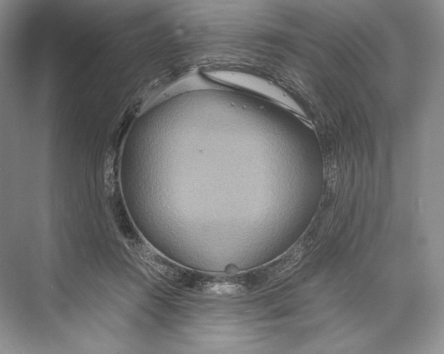 X0000072520360200608111726