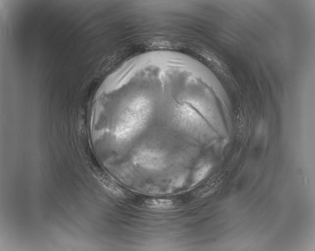 X0000072520361200608111726