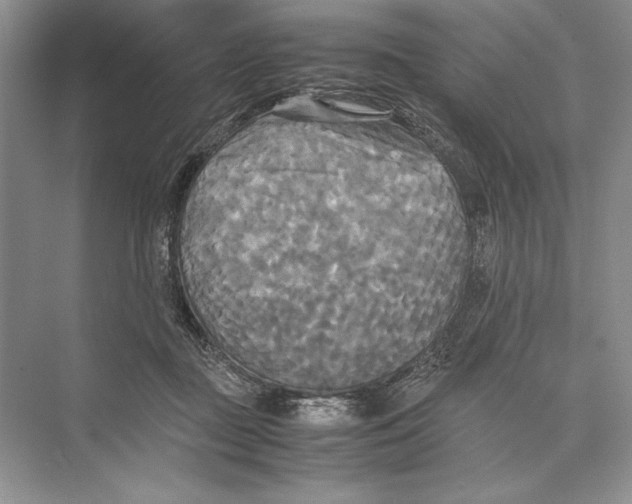 X0000072520363200608111726