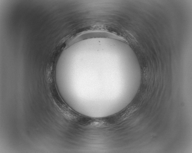 X0000072520364200608111726