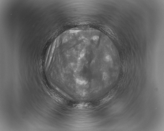 X0000072520366200608111726