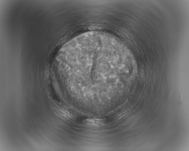 X0000072520367200608111726