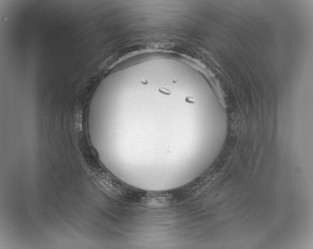 X0000072520368200608111726